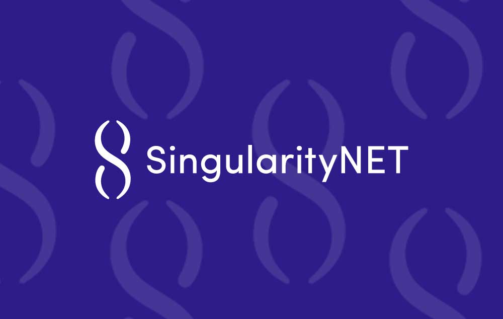 Singularity Net
